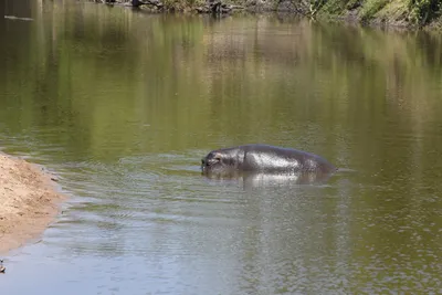 DSC_3519 (Large).JPG